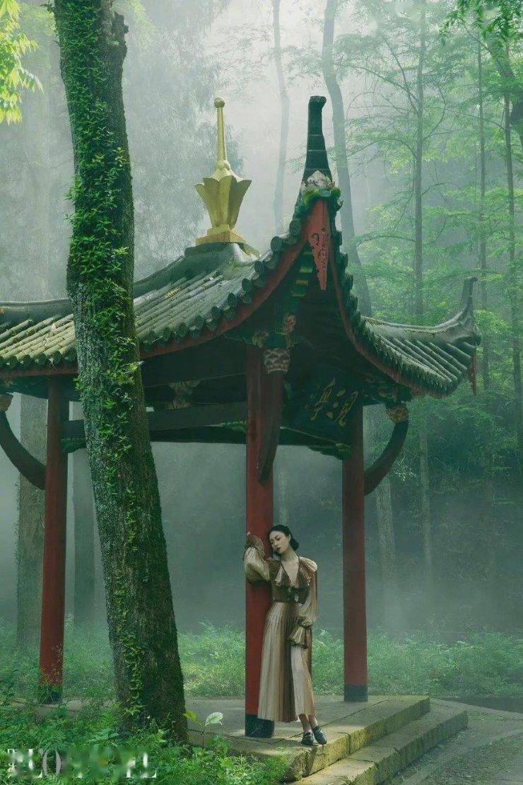微蒸烤一体和普通的微波炉有什么区别?问题答疑 | 在线回答 | 健康咨询