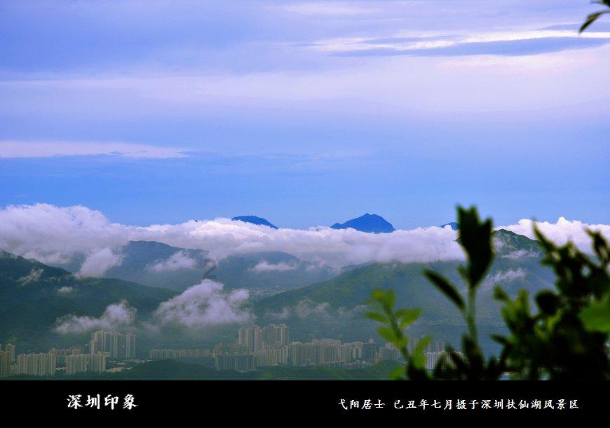 动物帮帮忙保卫家园